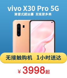 vivo X30 Pro 5G